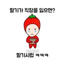 보스헤어 이미지
