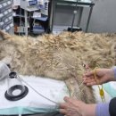 구로-구로-구로-2635 이미지