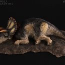 트리케라톱스-3 이미지