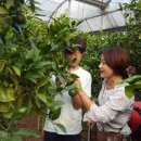 현중농장 이미지