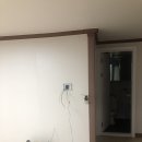 금성비디오 이미지