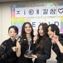 하니 이미지
