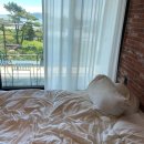 브리지스튜디오 | 제주도 브리지스튜디오 솔직후기 커플여행 감성숙소 찾는다면