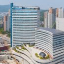 남양행정사 이미지