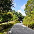 화현 분청사기 요지 이미지