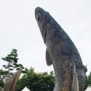 계양경기장 농구장 이미지