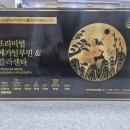 비타민약국 | [공지] 약사도 의심했던 ‘메가알부민’, 왜 재구매율이 미쳤을까? (feat. 종근당홀딩스)