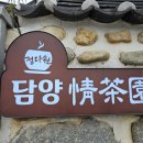 담양정다원