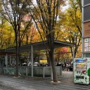 얘들아 이브 보고왔다!!! Eve Live 2023 ｢花嵐｣ hanaarashi