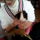 옷이목욕하는날 이미지