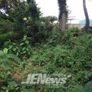 토산2리사무소 이미지