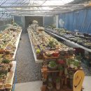 봉곡동192 이미지