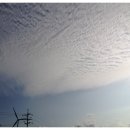 양식단지 앞 이미지