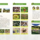 반송동188 이미지