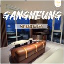 블루머핀 | 하운드 더 블루 호텔 강릉 파노라마 스위트 오션 리얼 후기(+조식포함)