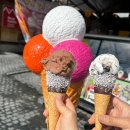 마운텐레스토랑 (Mountain Restaurant) | 신혼여행 4일차 베이스캠프레스토랑 피르스트곤돌라...트로티바이크 restaurant adlerstube Kalte lust...