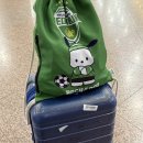 우진교통(주) | 뚜벅이의 제주도 여행이 돌아왔습니다