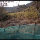웅천읍두룡1리마을회관 이미지