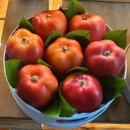 이천청과 이미지