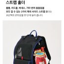 맘마음 | 강아지가방 아이캔더 지게백 강아지이동가방으로 구름맘마음에 쏙들었어요