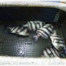 현대회센터 이미지