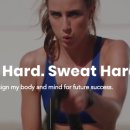 스타트핏 이미지