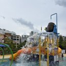 백양공원(농구장 옆) | 세종 아이랑 가볼만한곳 세종 제천뜰근린공원물놀이장 운영시간 및 주차 꿀팁