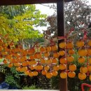 묵산농장 이미지