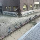 다연유치원 | 얼레벌레콩벌레대학생의시험기간일상