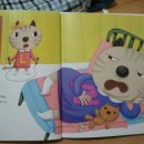 뚱보 고양이 이미지