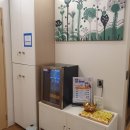 모모의꿈 | 분당 정자동 두피케어 탈모관리샵 모모의꿈 후기