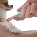 서울앤 동물병원 이미지