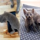 홈브리딩 이미지