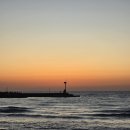 점섬운동장 | 제주여행1 제주입도부터 마라톤 후기까지 (2025.4.25~27)