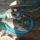 하나여행사 이미지