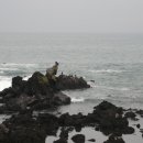 공천포 포구 이미지