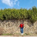 금계1리경로당 이미지