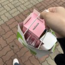 파랑새어린이집 | 스물다섯번째 일상