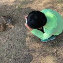 오리이야기