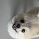 살롱드미미즈 이미지