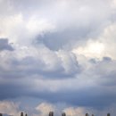 돌아가고싶은고향의산 이미지