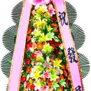 상호건재 이미지