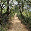 연암공업대학교 입구 이미지