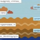 🇳🇿 𝟐𝟎𝟐𝟒 뉴질랜드 북섬 (3) 오클랜드 다운타운, 데번포트