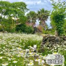 힐링카약파크비체올린 | 제주 가볼만한 곳 힐링카약파크 비체올린 능소화 명소 애견동반