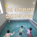 청계호수 자작나무숲 펜션 이미지