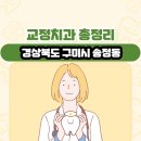 정성호치과의원 | 경상북도 구미시 송정동 교정치과 총정리