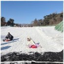 푸른경희태권도장 이미지