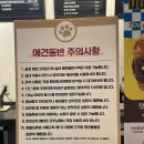 니드썸레스트 | 가평 대형 카페 '니드썸레스트' 애견 동반 가능한 남이섬 근처 카페