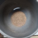 오투넷